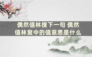 偶然值林搜下一句 偶然值林叟中的值意思是什么